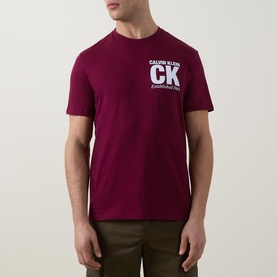CK Graphic Logo T-Shirt