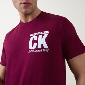 CK Graphic Logo T-Shirt