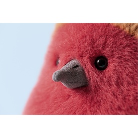 Plum Robin 20cm