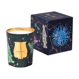 Fir Scented Candle 800g