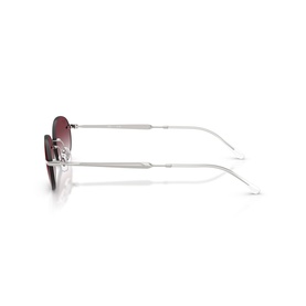 Oval Sunglasses RB3767