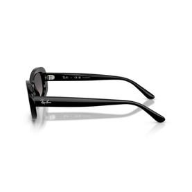 Oval Sunglasses RB2221