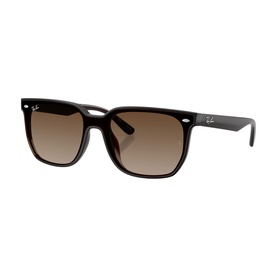 Square Sunglasses RB4466D