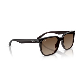 Square Sunglasses RB4466D