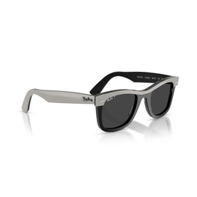 Square Sunglasses RB2240