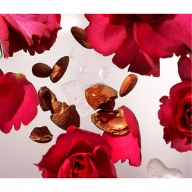 The Ritual of Ayurveda Medium Gift Set