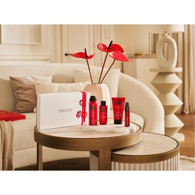 The Ritual of Ayurveda Small Gift Set