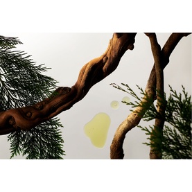 Rituals Homme Small Gift Set