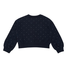 Flag Logo Studded Sweatshirt