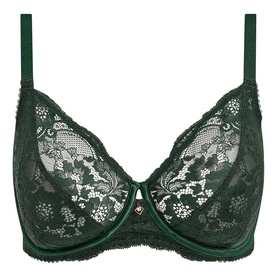 Natsuki Lace Underwired Bra