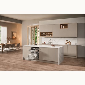 Active Plus Stainless Steel Fully Integrated Dishwasher