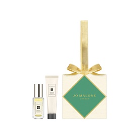 Green & Blue Citrus Ornament Gift Set