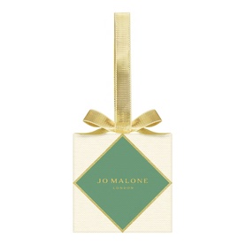 Green & Blue Citrus Ornament Gift Set