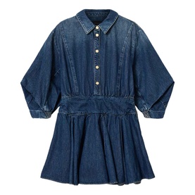 Arlo Denim Mini Dress