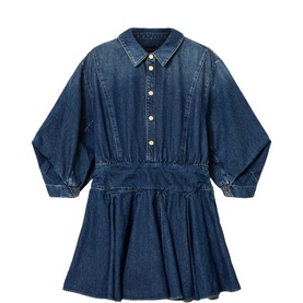 Arlo Denim Mini Dress