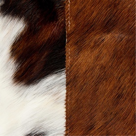 Izzy Cow Leather Tote Bag