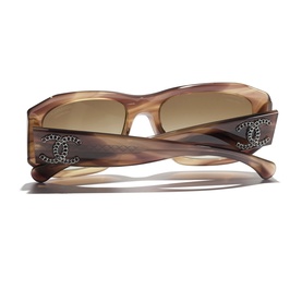 Rectangle Sunglasses CH5554