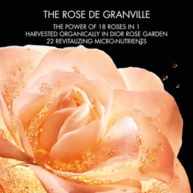 Prestige Le Micro-S&eacute;rum de Rose Yeux Activated Regenerating Eye Serum