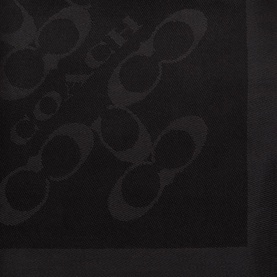 Signature Logo Frayed Scarf