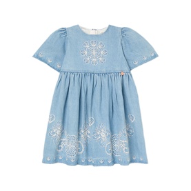 Reyna Denim Embroidered Swing Dress