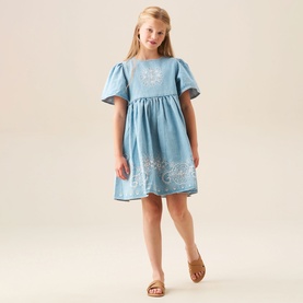 Reyna Denim Embroidered Swing Dress