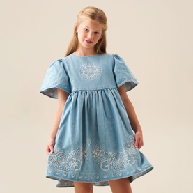 Reyna Denim Embroidered Swing Dress
