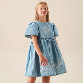 Reyna Denim Embroidered Swing Dress