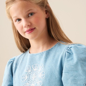 Reyna Denim Embroidered Swing Dress