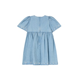 Reyna Denim Embroidered Swing Dress