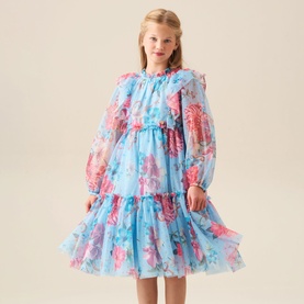 Alessia Floral Print Mesh Dress