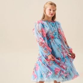 Alessia Floral Print Mesh Dress