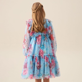 Alessia Floral Print Mesh Dress