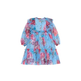 Alessia Floral Print Mesh Dress