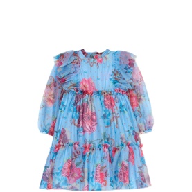 Alessia Floral Print Mesh Dress