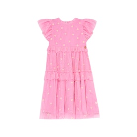 Luisa Embroidered Mesh Dress