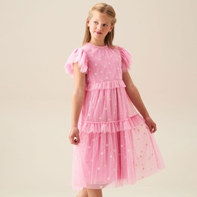 Luisa Embroidered Mesh Dress