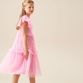 Luisa Embroidered Mesh Dress