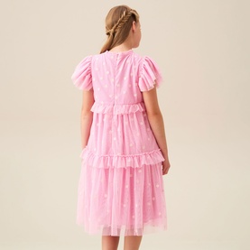 Luisa Embroidered Mesh Dress