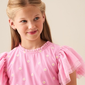 Luisa Embroidered Mesh Dress