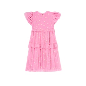 Luisa Embroidered Mesh Dress