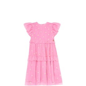 Luisa Embroidered Mesh Dress