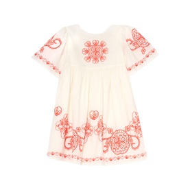 Reyna Embroidered Swing Dress