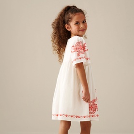 Reyna Embroidered Swing Dress