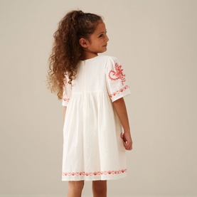 Reyna Embroidered Swing Dress