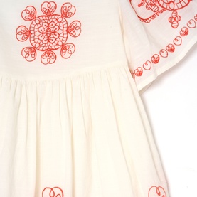 Reyna Embroidered Swing Dress
