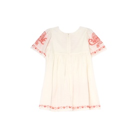 Reyna Embroidered Swing Dress