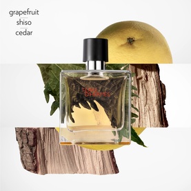 Terre d&rsquo;Herm&egrave;s Pure Perfume Gift Set