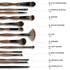 Brush Collection - 10 Flat Complexion