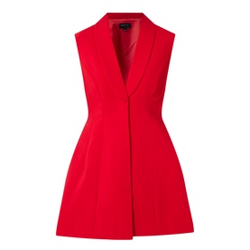 Destene Hourglass Mini Dress