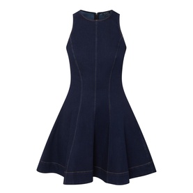 Palmer Denim Mini Dress